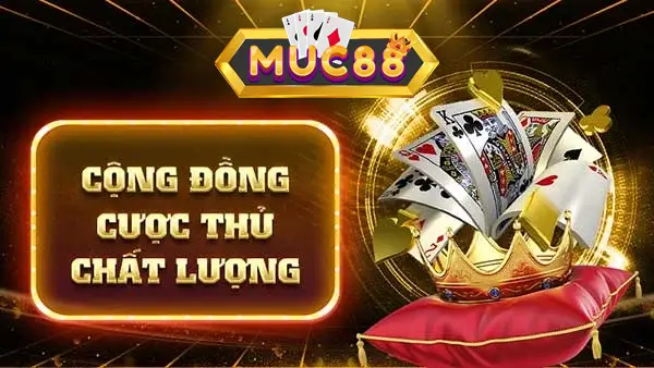 cộng đồng cược thủ chất lượng